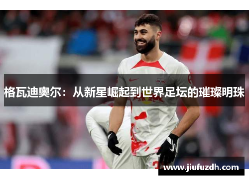 格瓦迪奥尔：从新星崛起到世界足坛的璀璨明珠